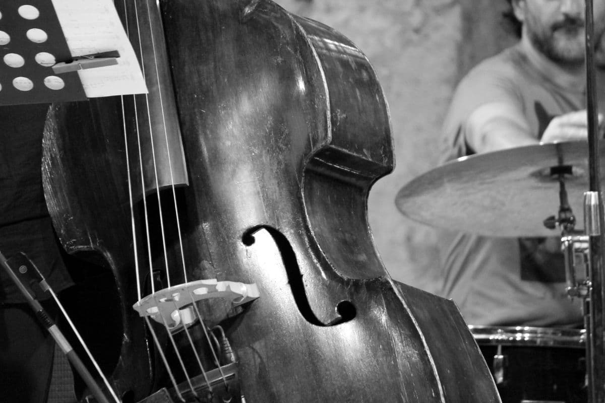Le Port vibre au rythme du jazz du 1er au 4 août 2024 !