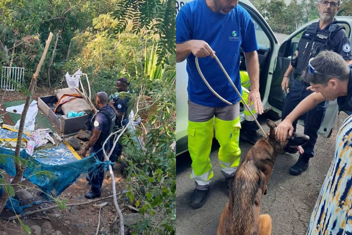 Un chien secouru lors d'une opération de la Police Nationale