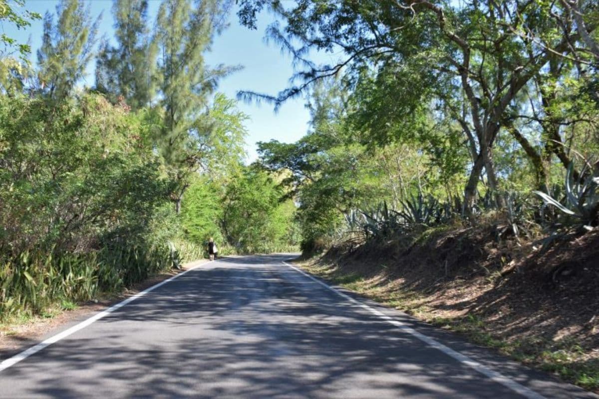 Une nouvelle bande cyclable entre L'Étang-Salé et Les Avirons