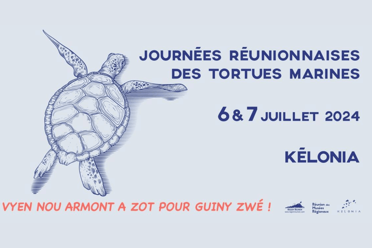 Journées des tortues marines à Kélonia
