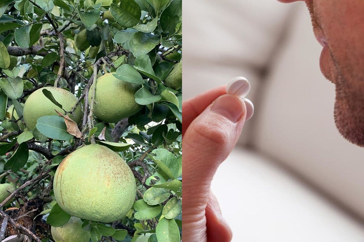 Faut-il vraiment éviter le pamplemousse lorsqu’on prend des médicaments ?