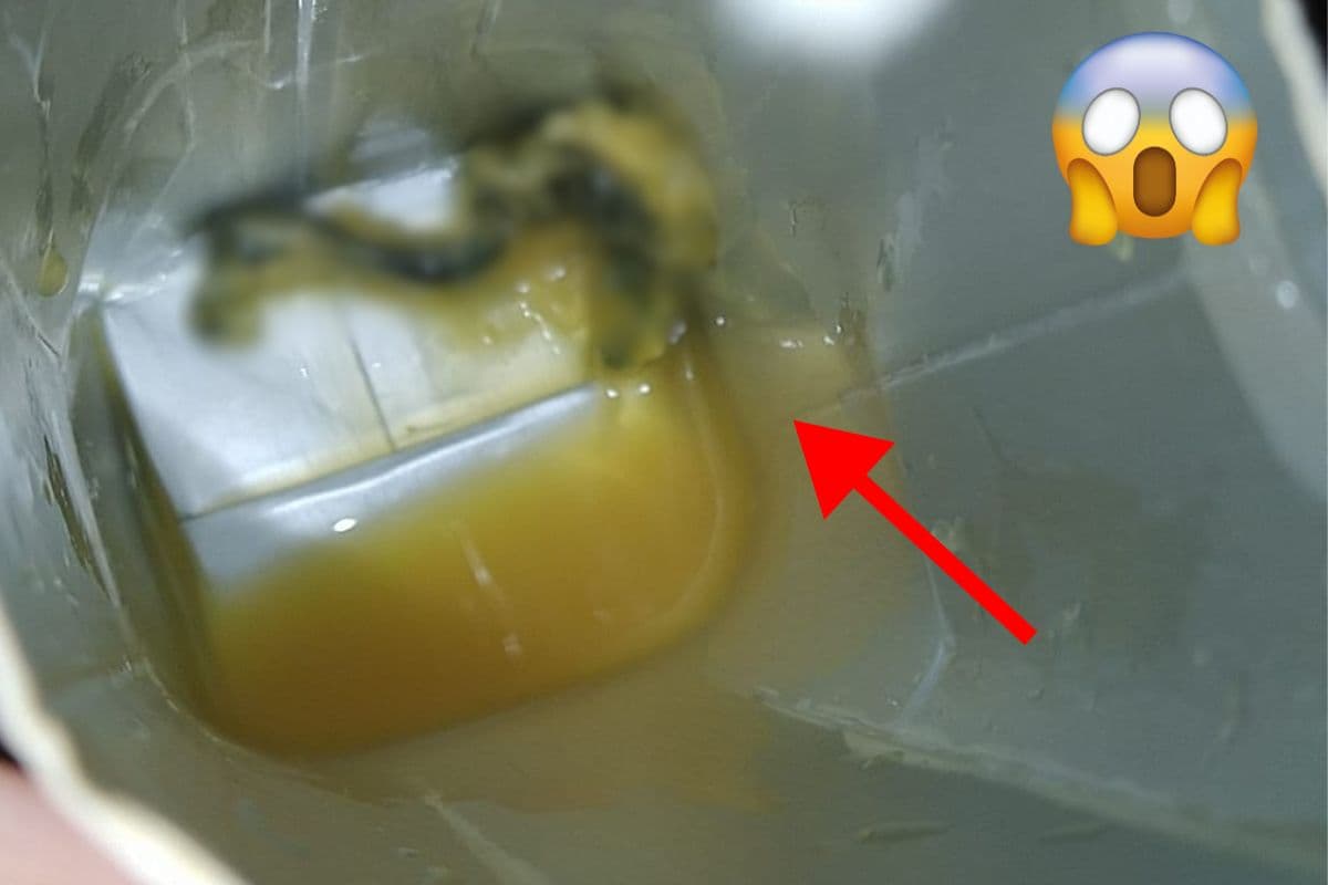 Découverte étonnante dans une brique de jus d'orange