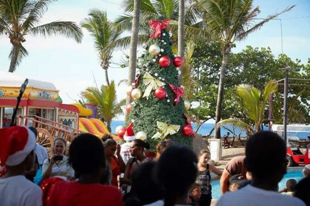 Noël approche à grands pas à La Réunion.