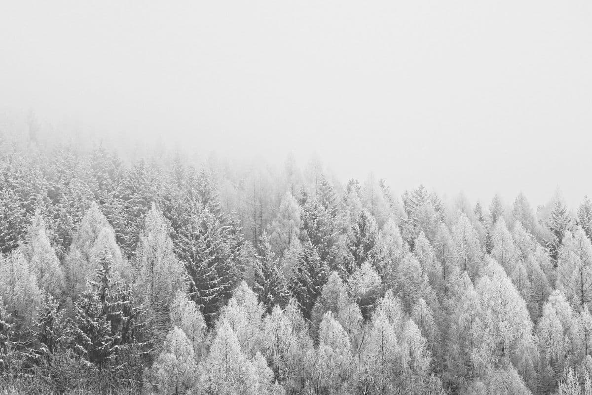 Retour de la neige en France cette semaine