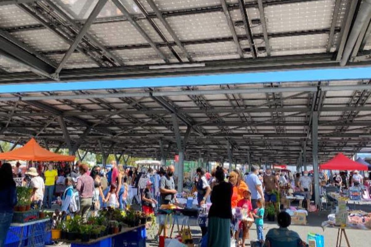 Grande Brocante de Saint-Paul Savanna : Clôturez l'année 2024 avec une journée unique