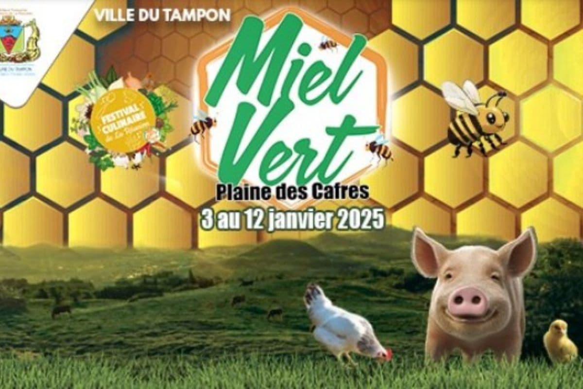 Miel Vert 2025, une édition à ne pas manquer