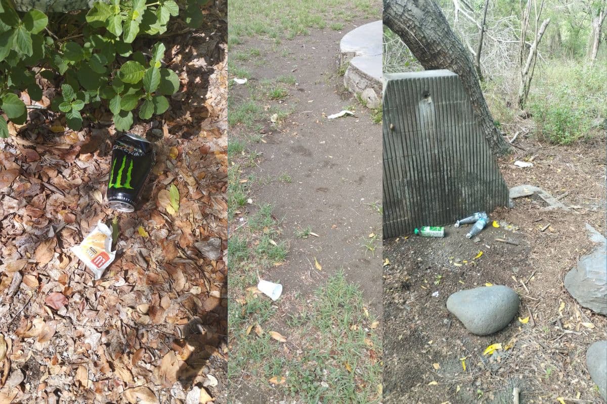 Les déchets dans la forêt de l’Étang Salé un fléau souvent oublié