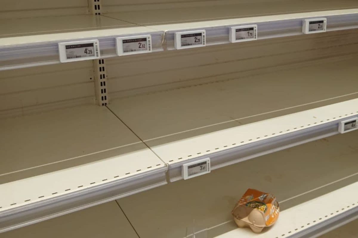 La Réunion confrontée à une pénurie d’œufs dans les supermarchés