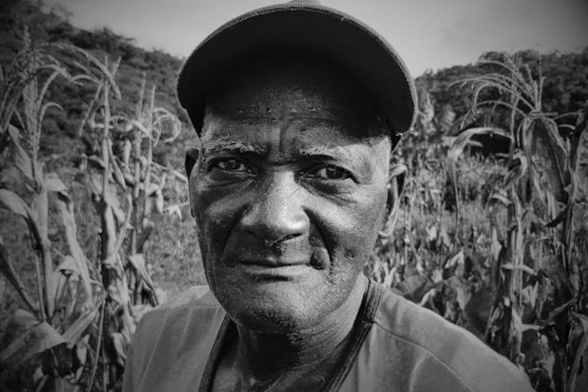Cyclones Chido et Garance : pourquoi les agriculteurs de Mayotte et La Réunion sont à bout !
