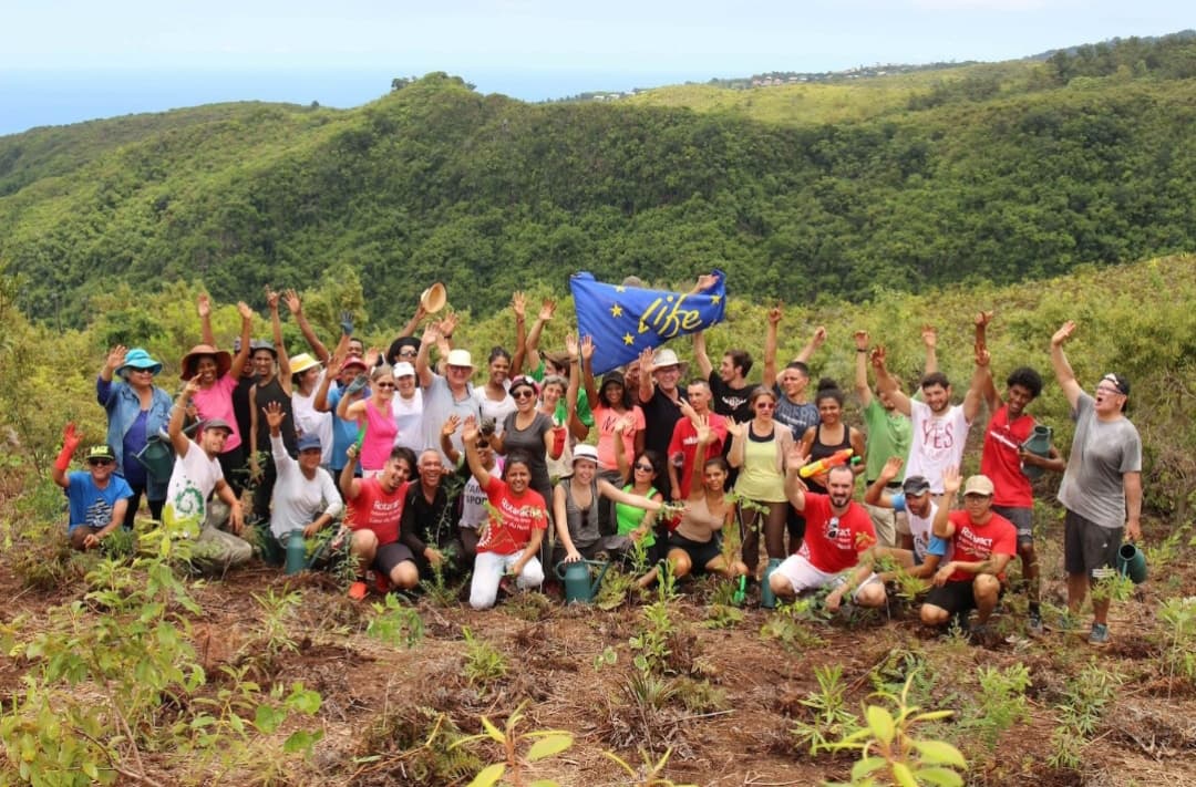 1 million d’arbres plantés à Bois-Court : la Réunion verdit son avenir