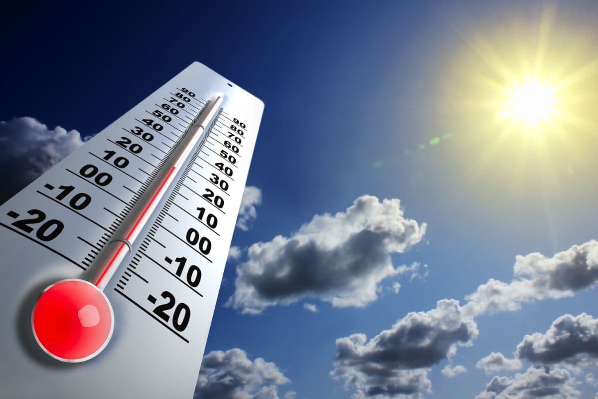 Canicule