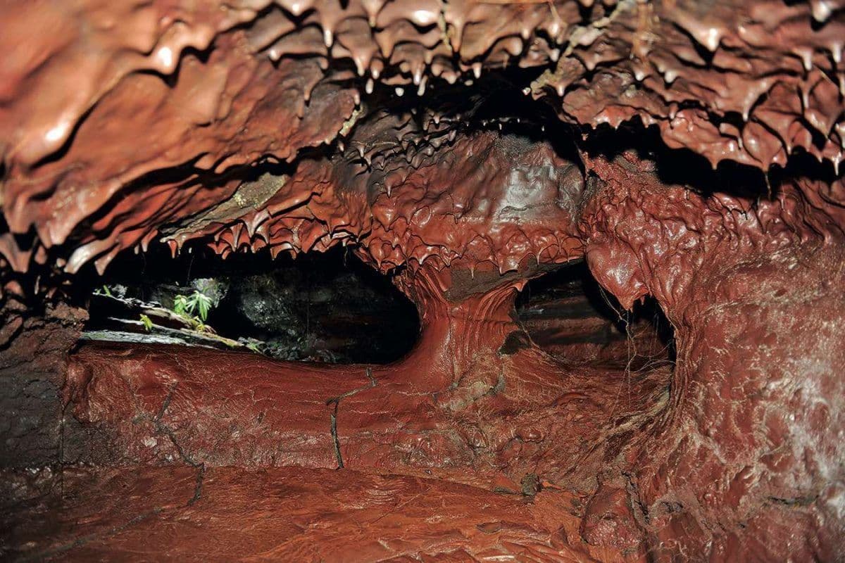 Les tunnels de lave de La Réunion : un voyage au cœur de la terre