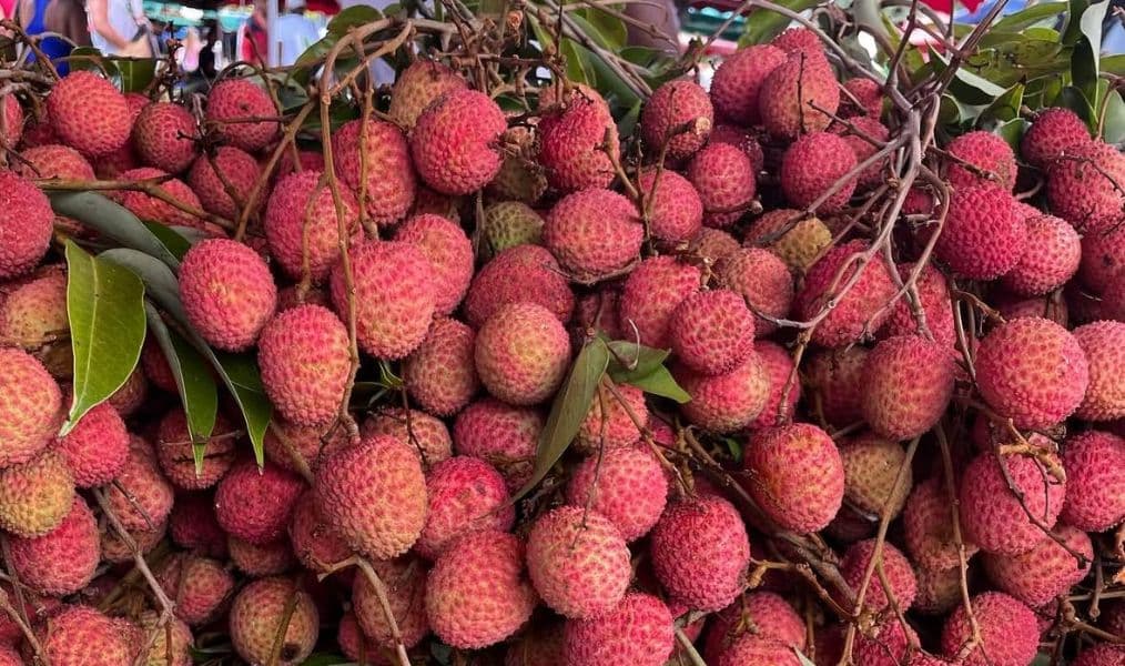 Le letchi fait son retour à La Réunion avec des prix élevés… comme chaque année