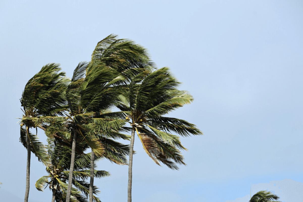 À La Réunion, le vent se renforce et les températures baissent ce mardi