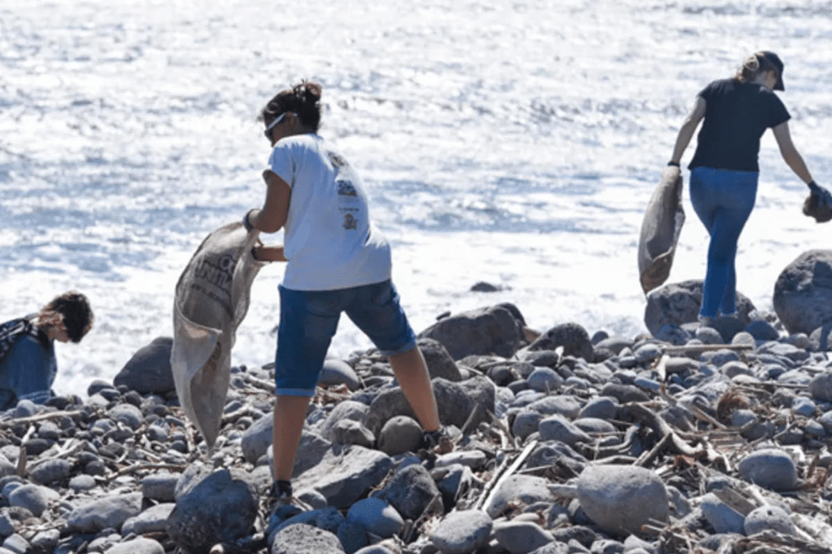 À La Réunion, le World Cleanup Day remet la lutte contre les déchets au cœur de la mobilisation citoyenne