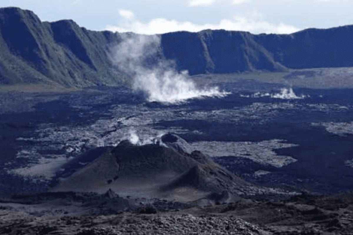 Née du feu, façonnée par la vie : comment le volcan crée de nouveaux écosystèmes