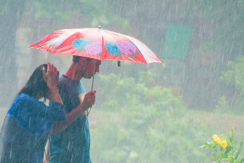 parapluie