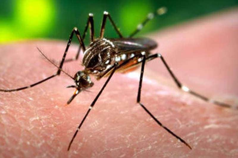 zika-ocean-indien-se-prepare-la-reunion