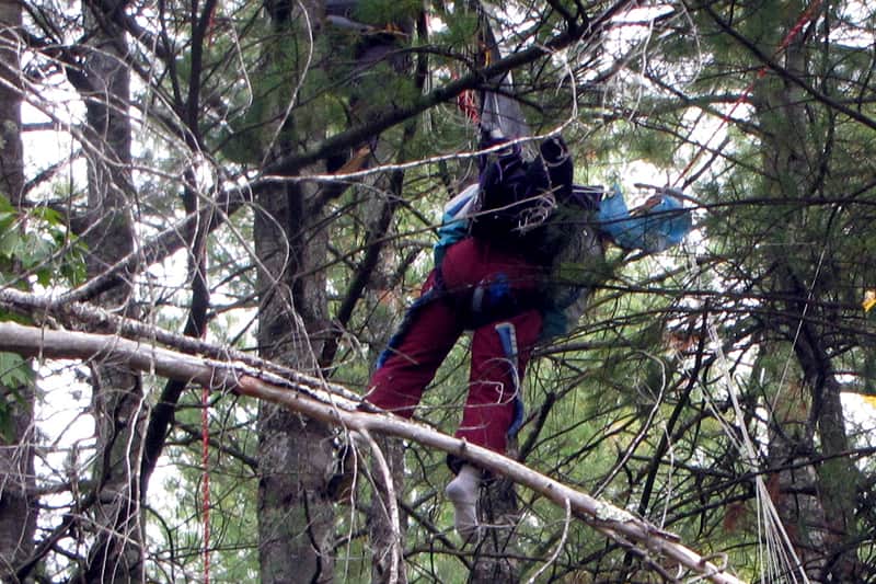 parachute-dans-l-arbre