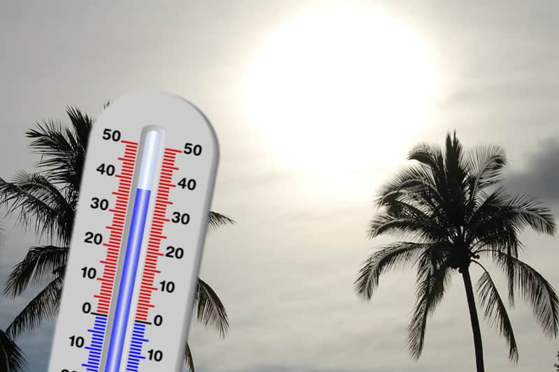 temperature-reunion