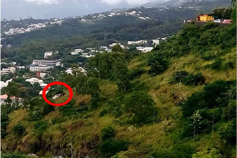 sortie-route-la-montagne-rampes-la-reunion