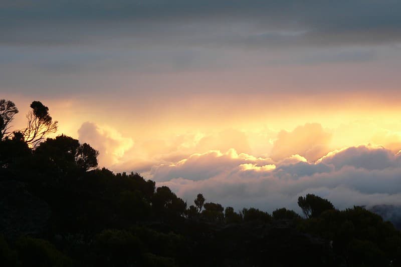 froid-a-la-reunion