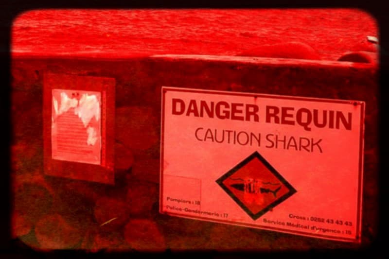 danger-requin