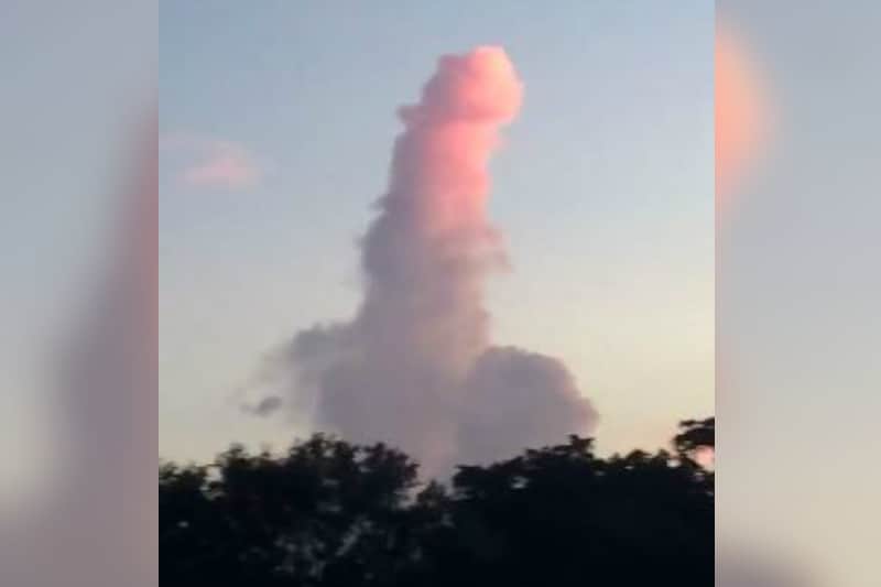nuage-penis