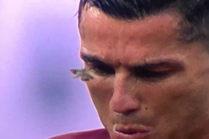 papillon-ronaldo
