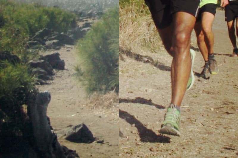 trail-des-sables