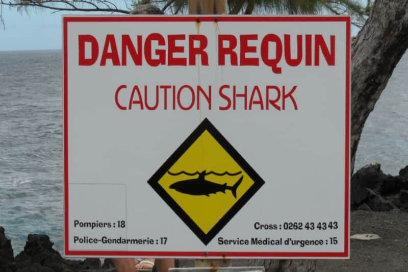Panneau_requins_réunion