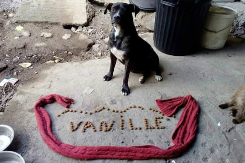 defi-croquette-vanille