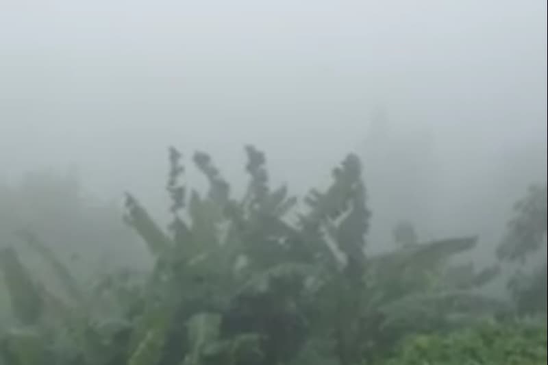 les-hauts-sous-le-brouillard