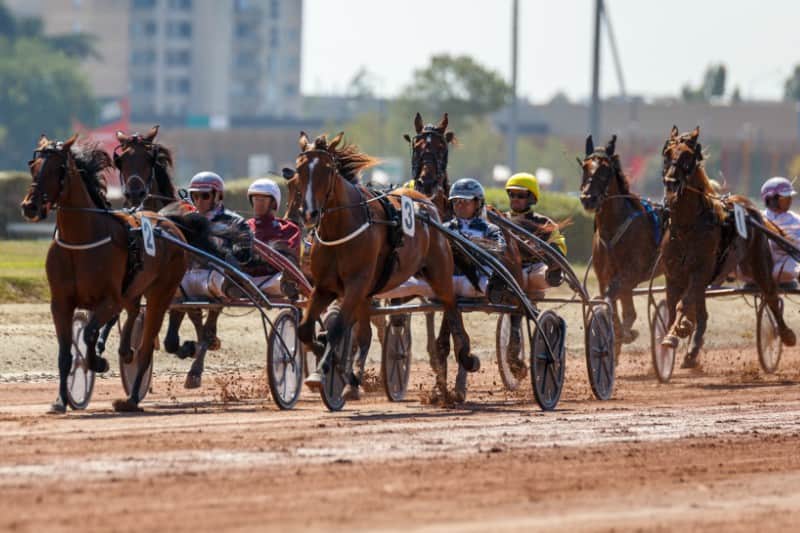 trot-attele