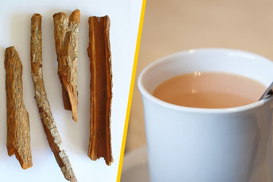 quinquina-tisane