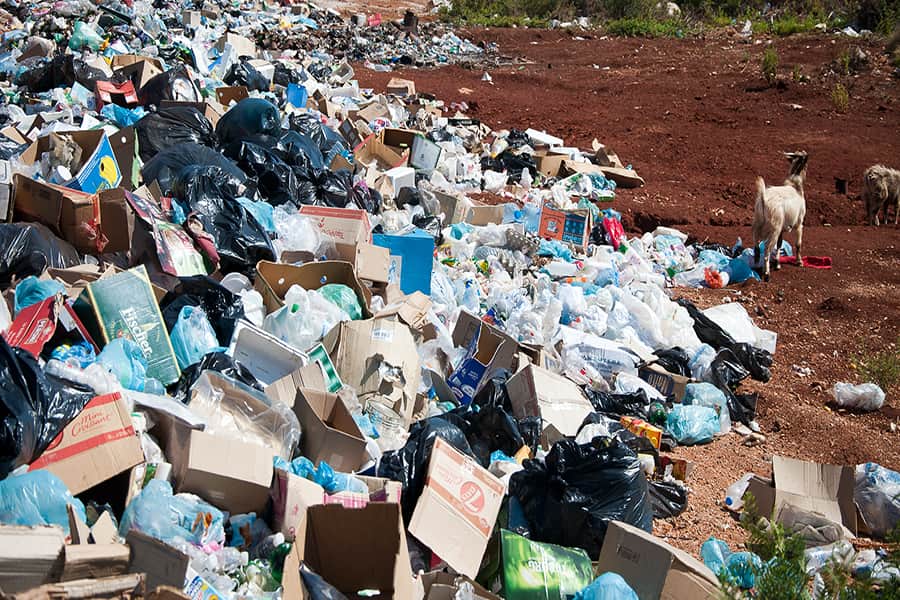 Projet UVE : « Saint-Pierre deviendra le brûloir à déchets de l’Océan Indien »