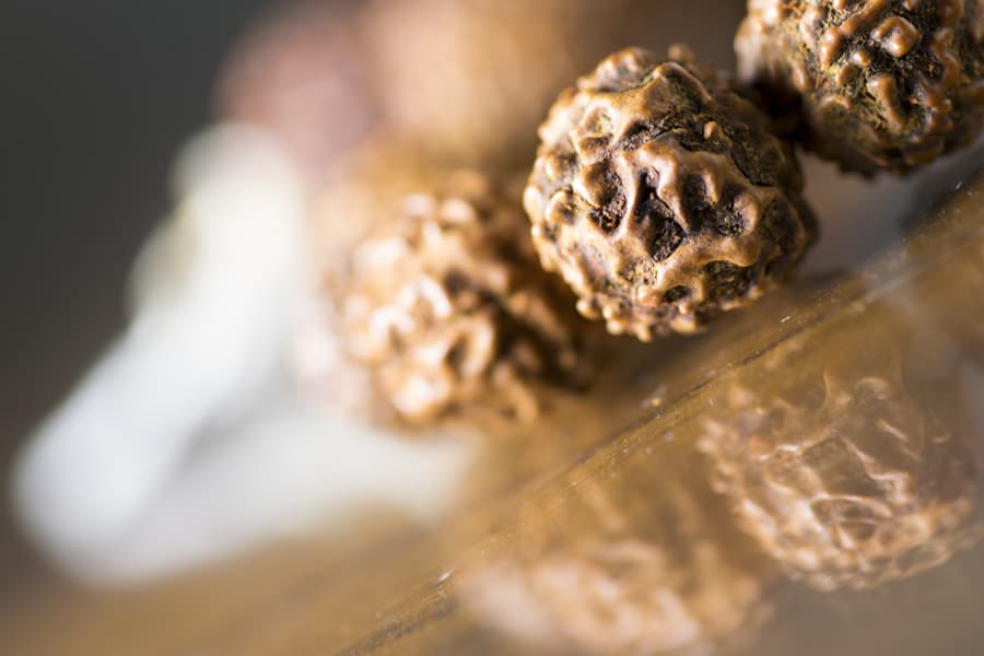 108-rudraksha