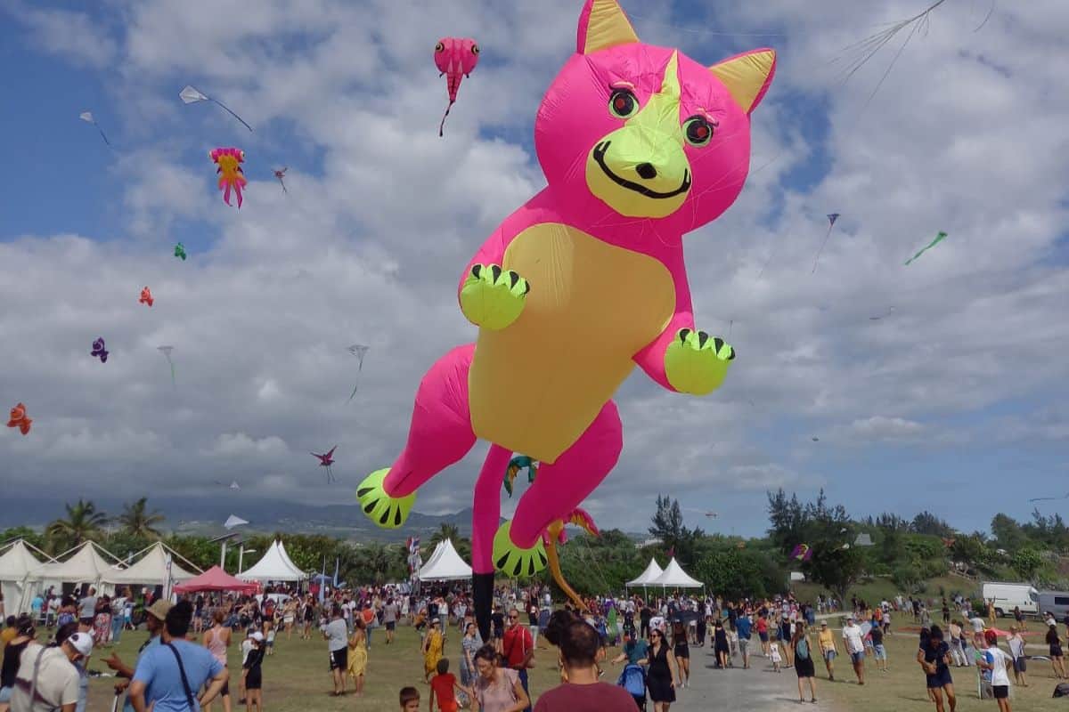 Festival international du cerf-volant : un succès populaire