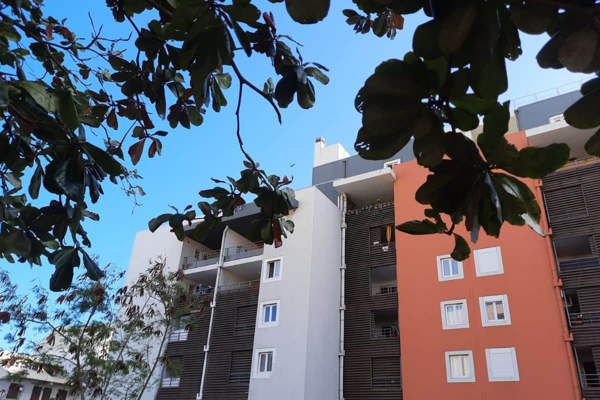 logement insalubre