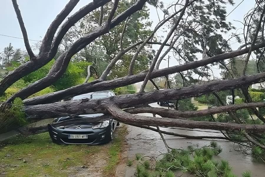 tempete-ciaran