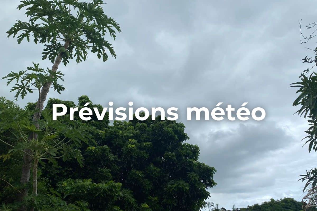 Prévisions météo
