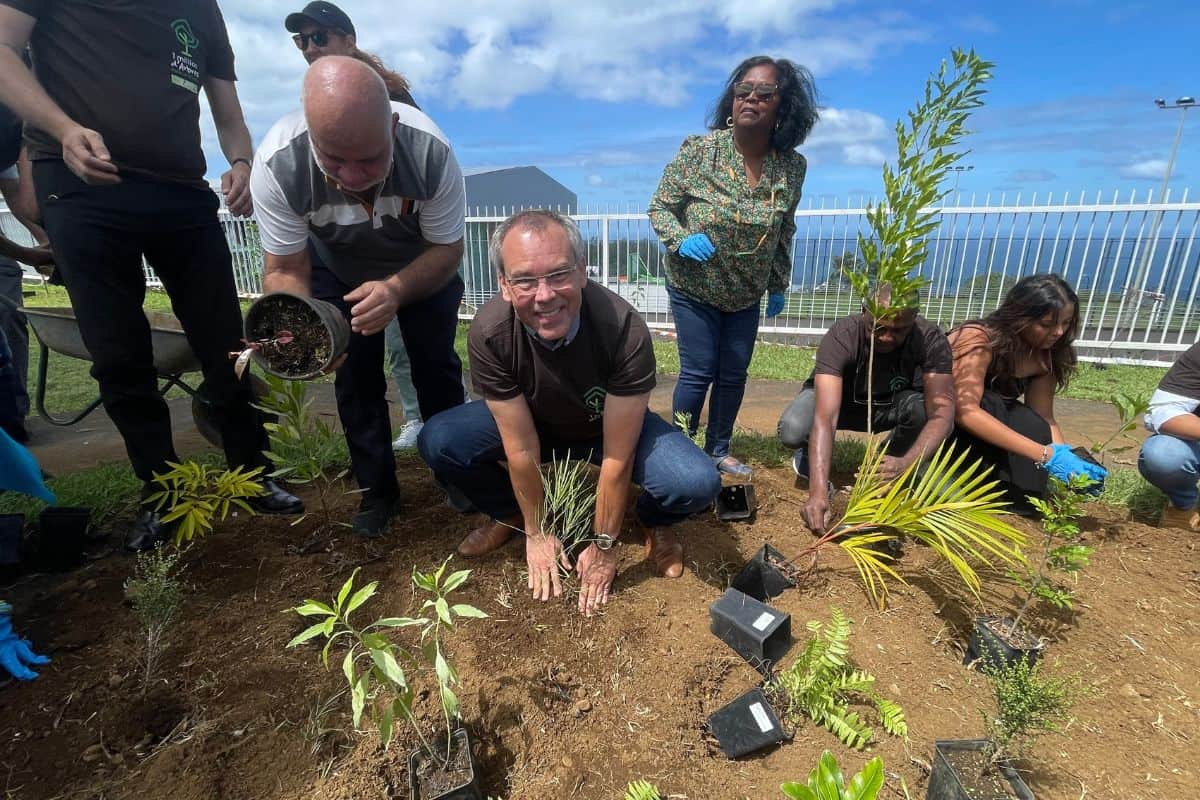 Une micro-forêt au collège Joseph-Suacot