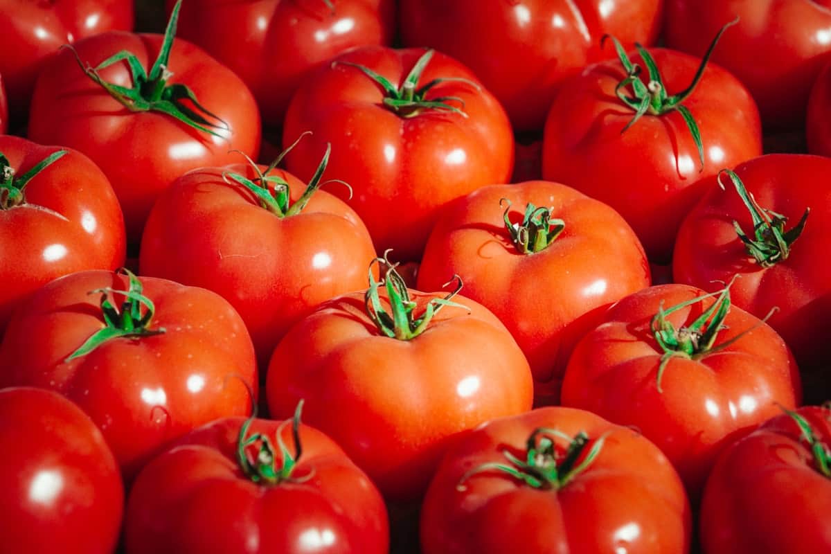 Consommation Le prix de la tomate ne sera plus jamais d'1€ à La Réunion