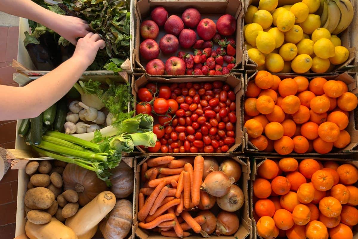 Le Marché de Nuit du Barachois de retour pour illuminer votre samedi soir !