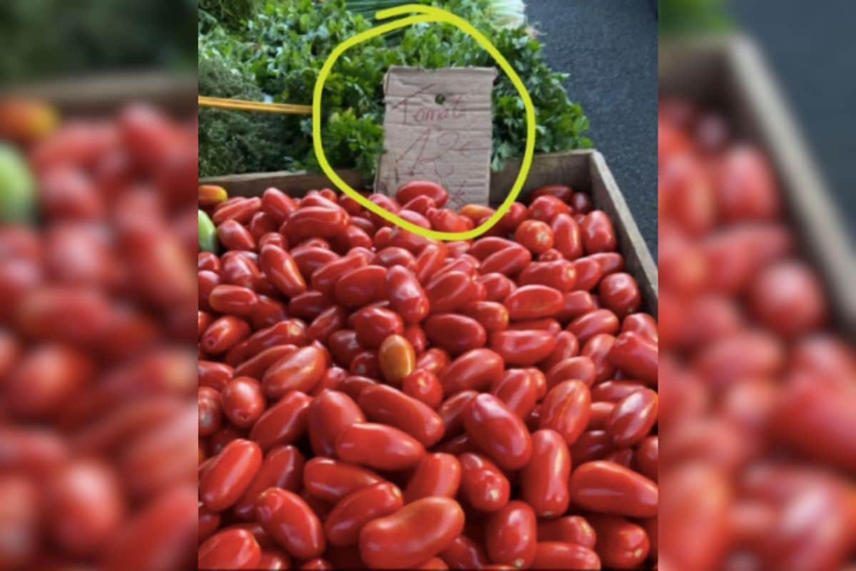 tomate chers reunion
