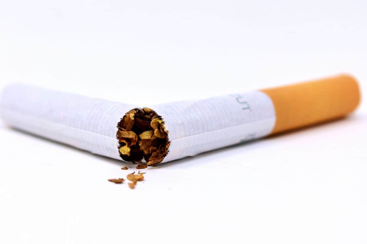31 mai, Journée Mondiale Sans Tabac !
