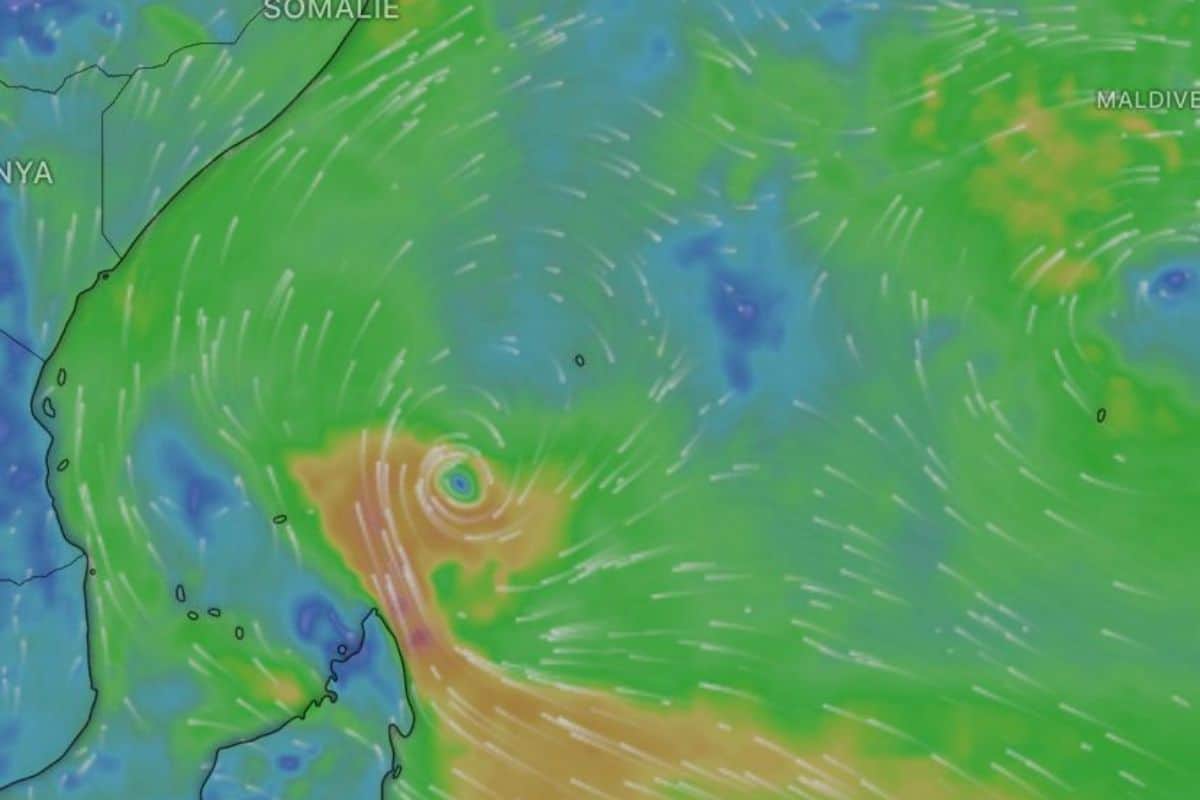 tempete lali