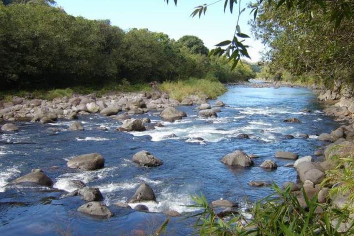 Drame à la Rivière des Marsouins un jeune homme perd la vie