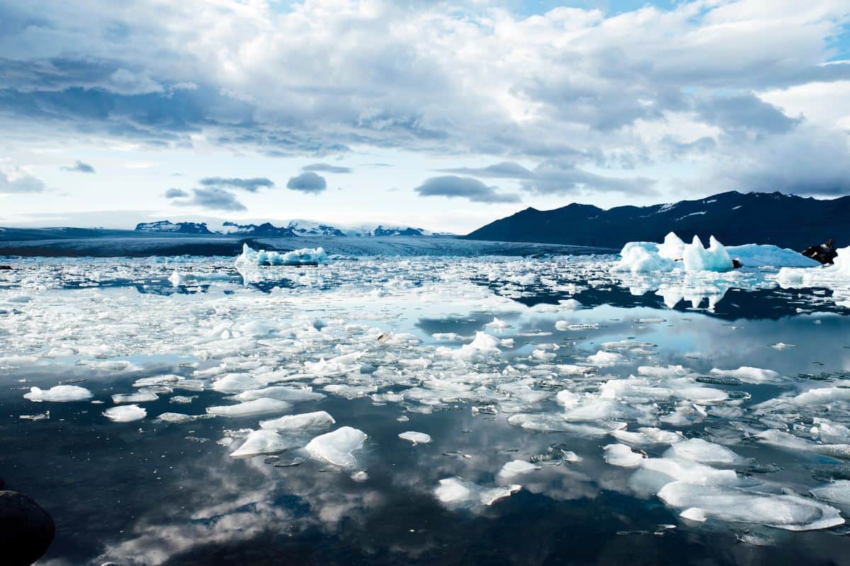 Le changement climatique, préoccupation majeure des Français vers une prise de conscience collective