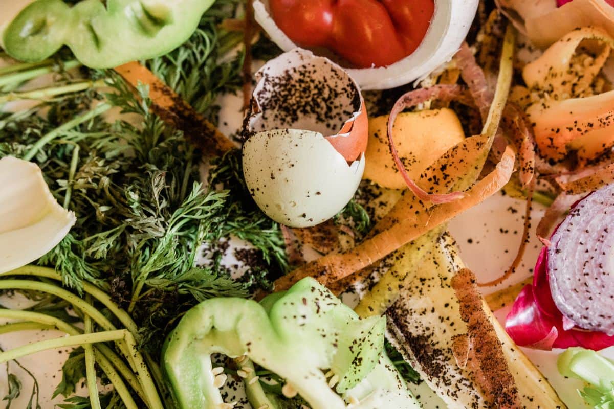 Huits solutions innovantes pour réduire le gaspillage alimentaire à La Réunion